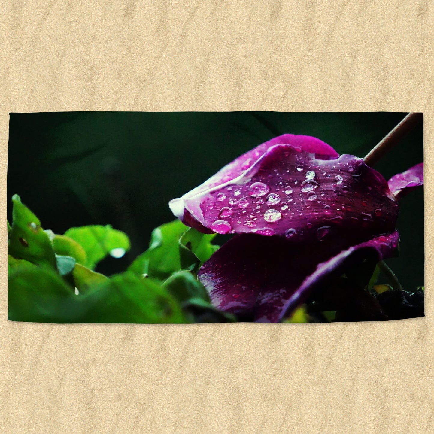 Beach towel photo of a purple ciclamen | Opposite Home