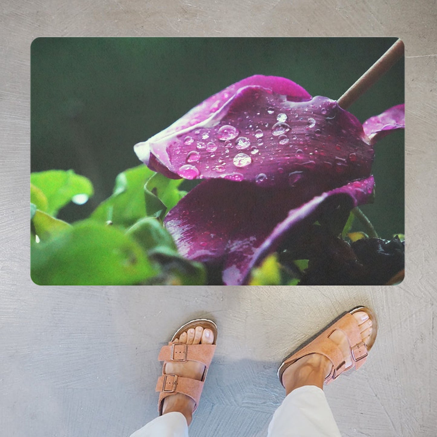 Decorative doormat with floral photo print - purple cyclamen - practical for bathroom and kitchen