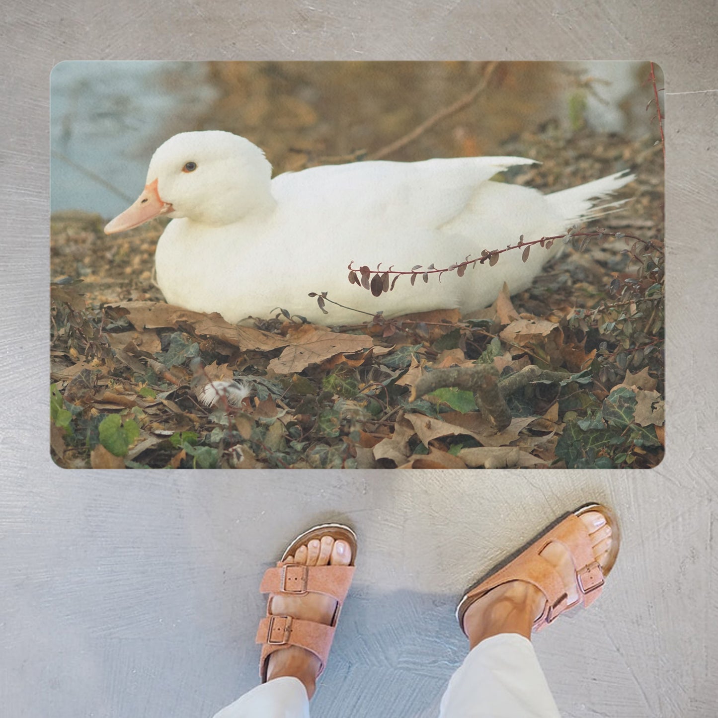 Decorative doormat with photographic print of a white duck - ideal for children's rooms