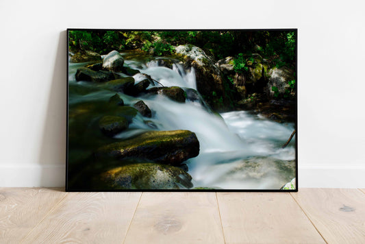 Poster photo "Whimsical river"