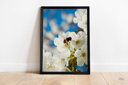 Poster and canvas photo of a cherry tree branch | Opposite Home