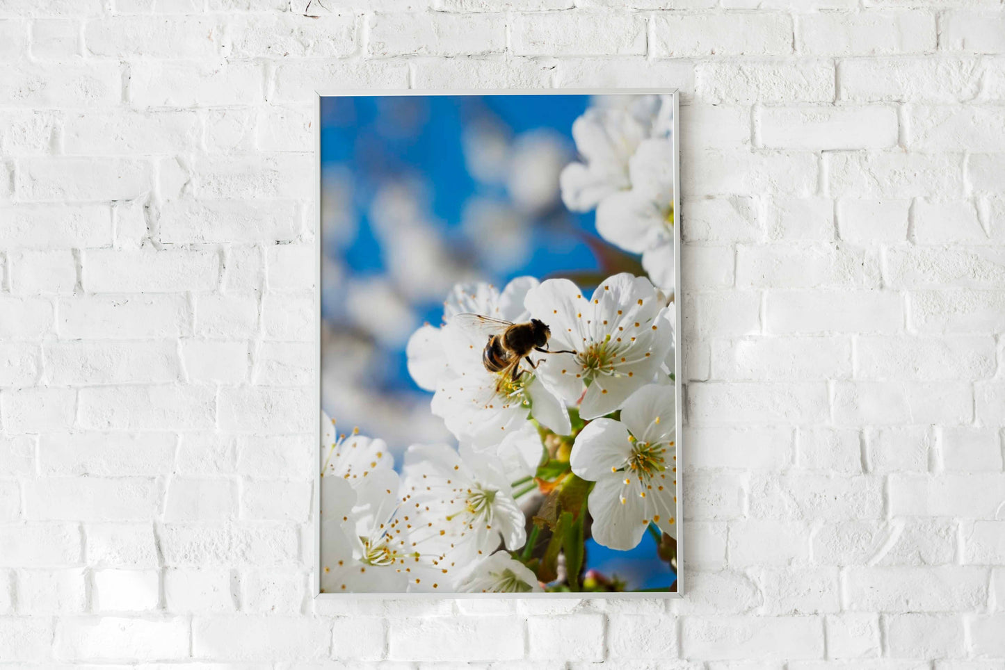 Poster and canvas photo of a cherry tree branch | Opposite Home