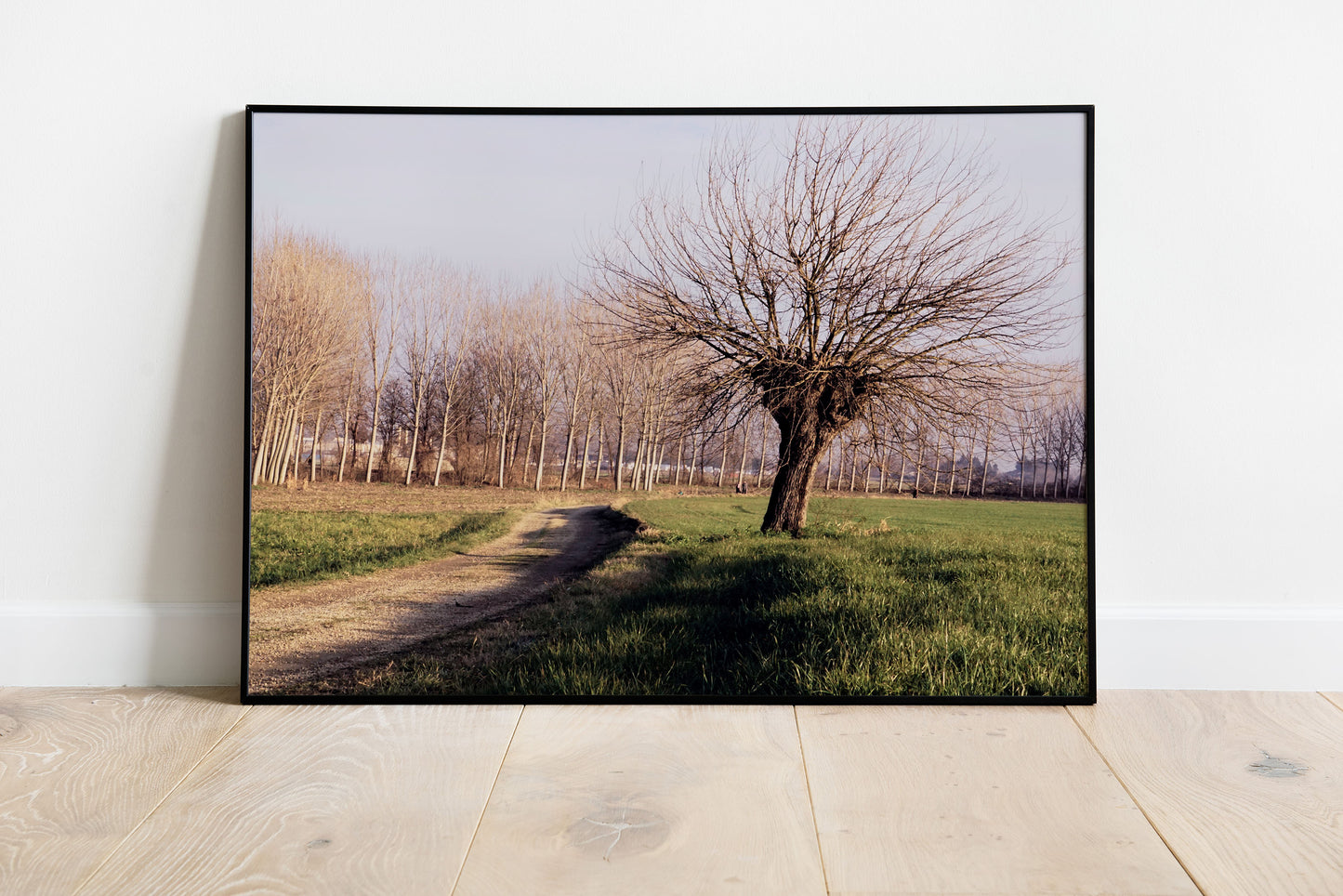 Posters and Paintings vintage photo of an autumn tree, countryside photography | Opposite Home