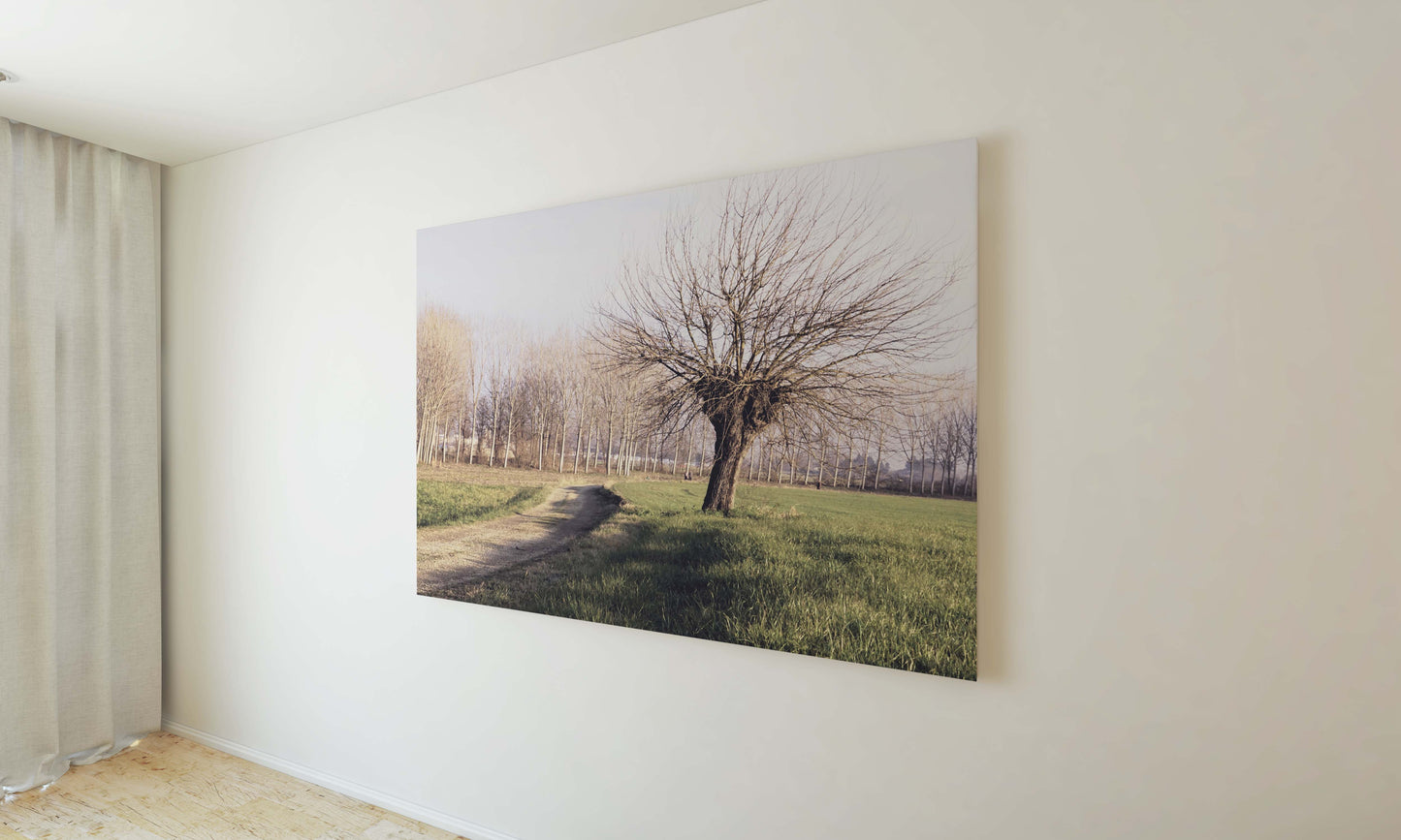 Posters and Paintings vintage photo of an autumn tree, countryside photography | Opposite Home