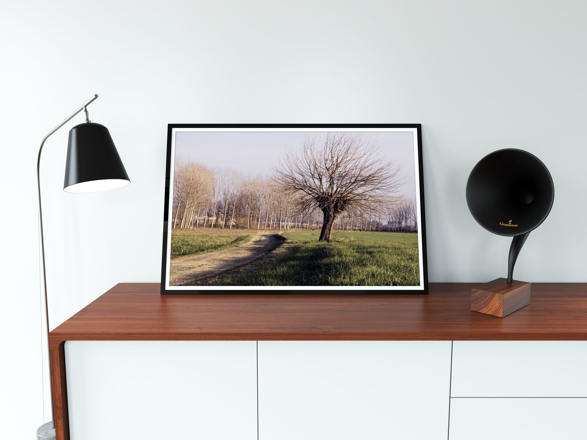 Posters and Paintings vintage photo of an autumn tree, countryside photography | Opposite Home