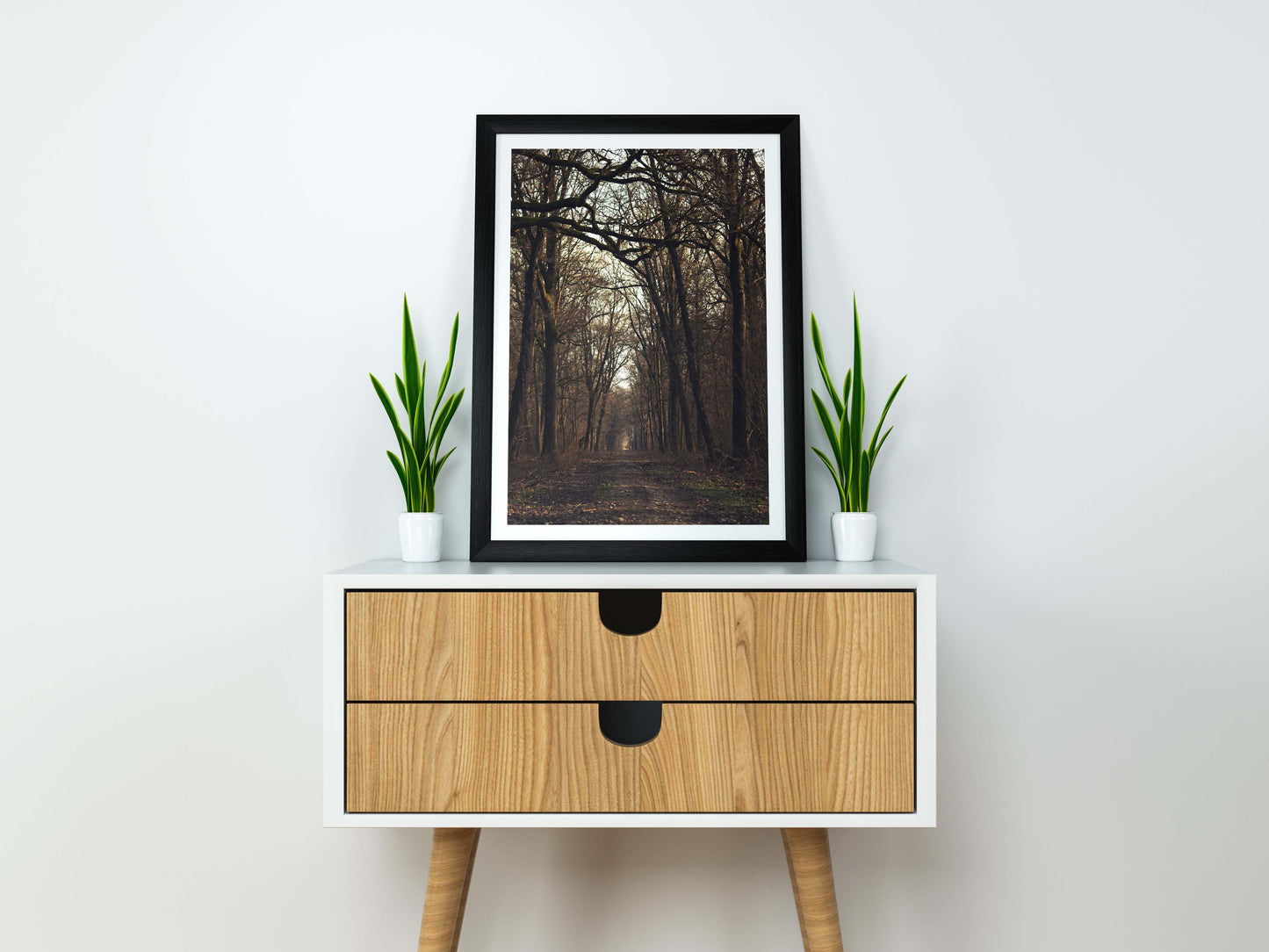 Posters and paintings photograph of an autumnal forest | Opposite Home