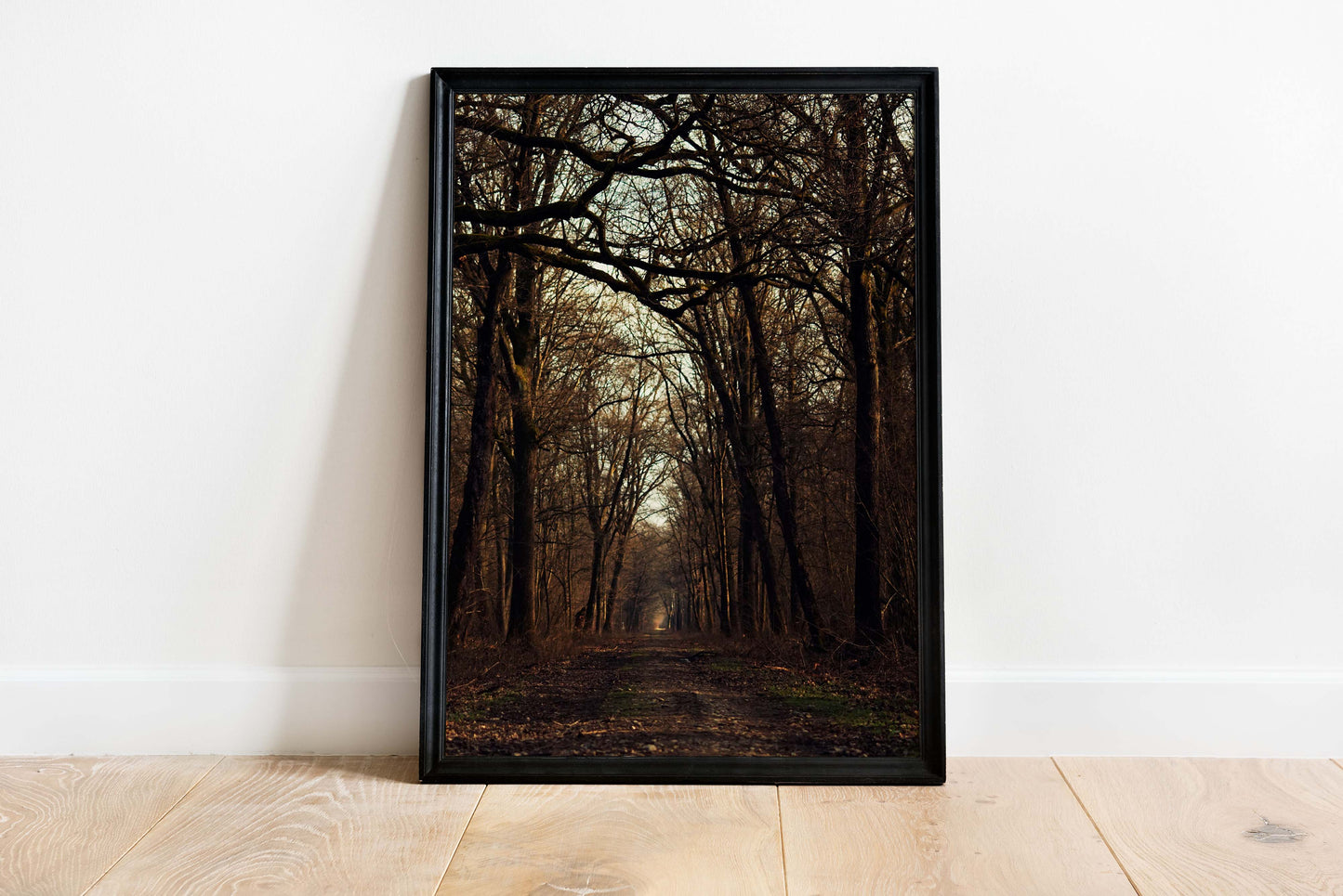 Posters and paintings photograph of an autumnal forest | Opposite Home