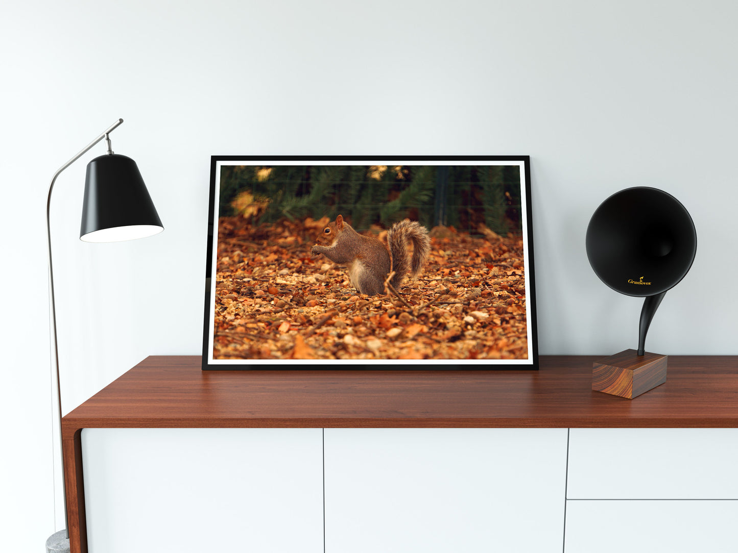 Posters and paintings photos of a squirrel in the autumn foliage | Opposite Home