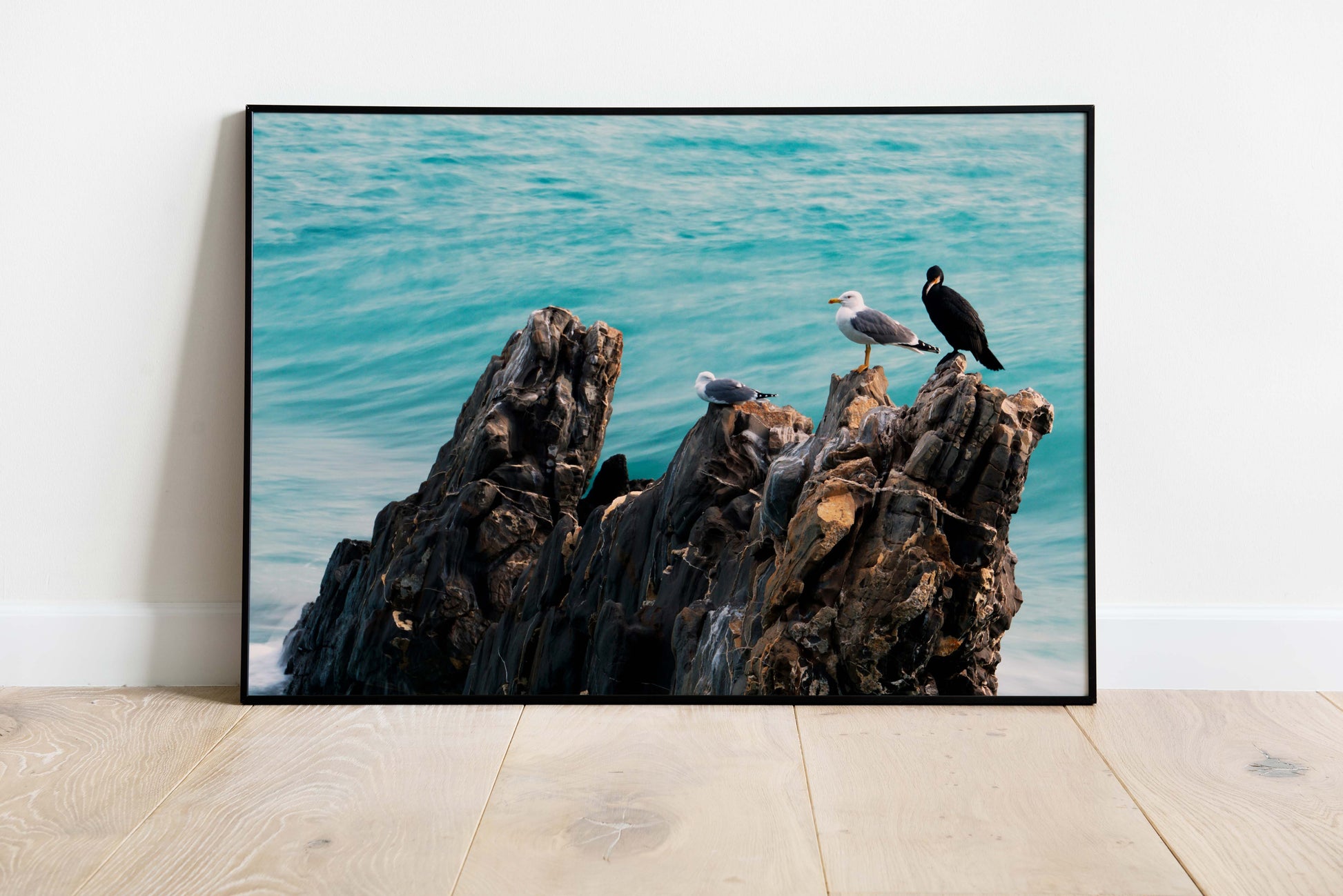 Posters and paintings relaxing photo of a group of seagulls on a rock | Opposite Home