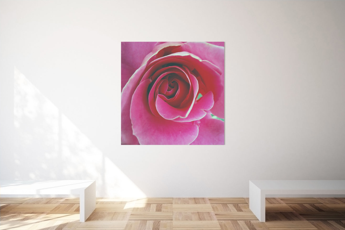 Romantic red rose photo poster | Opposite Home