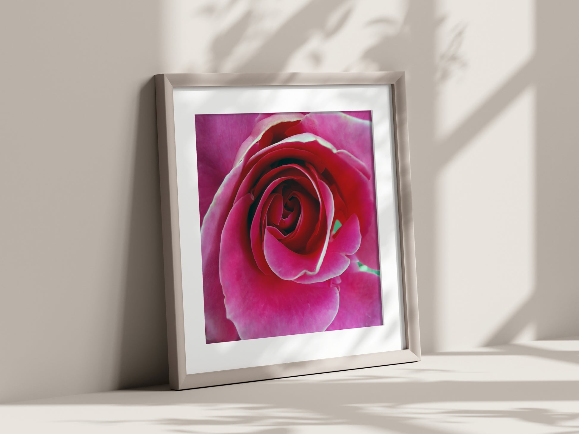 Romantic red rose photo poster | Opposite Home