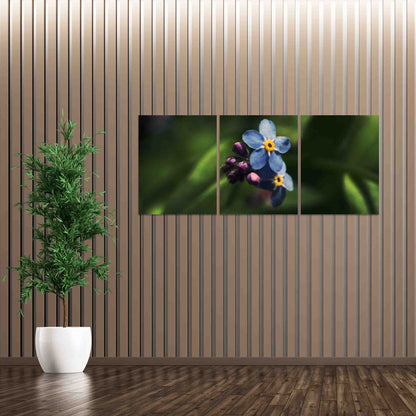 Large Macro Floral Photo Print - Nature Inspired - Set of 3 Canvases