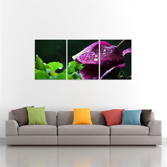 Set 3 canvas photo print of a ciclamen | Opposite Home