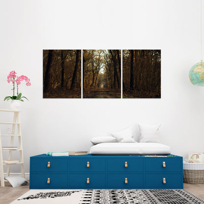 Set 3 canvas photo print of a forest | Opposite Home