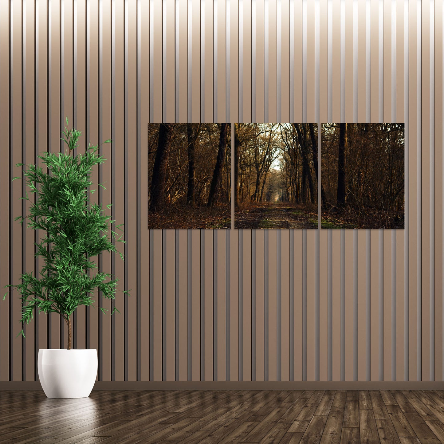 Set 3 canvas photo print of a forest | Opposite Home