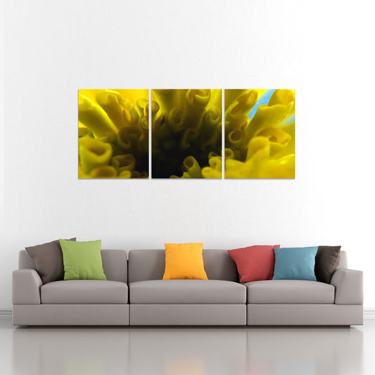 Set 3 canvas photo print of a yellow flower | Opposite Home