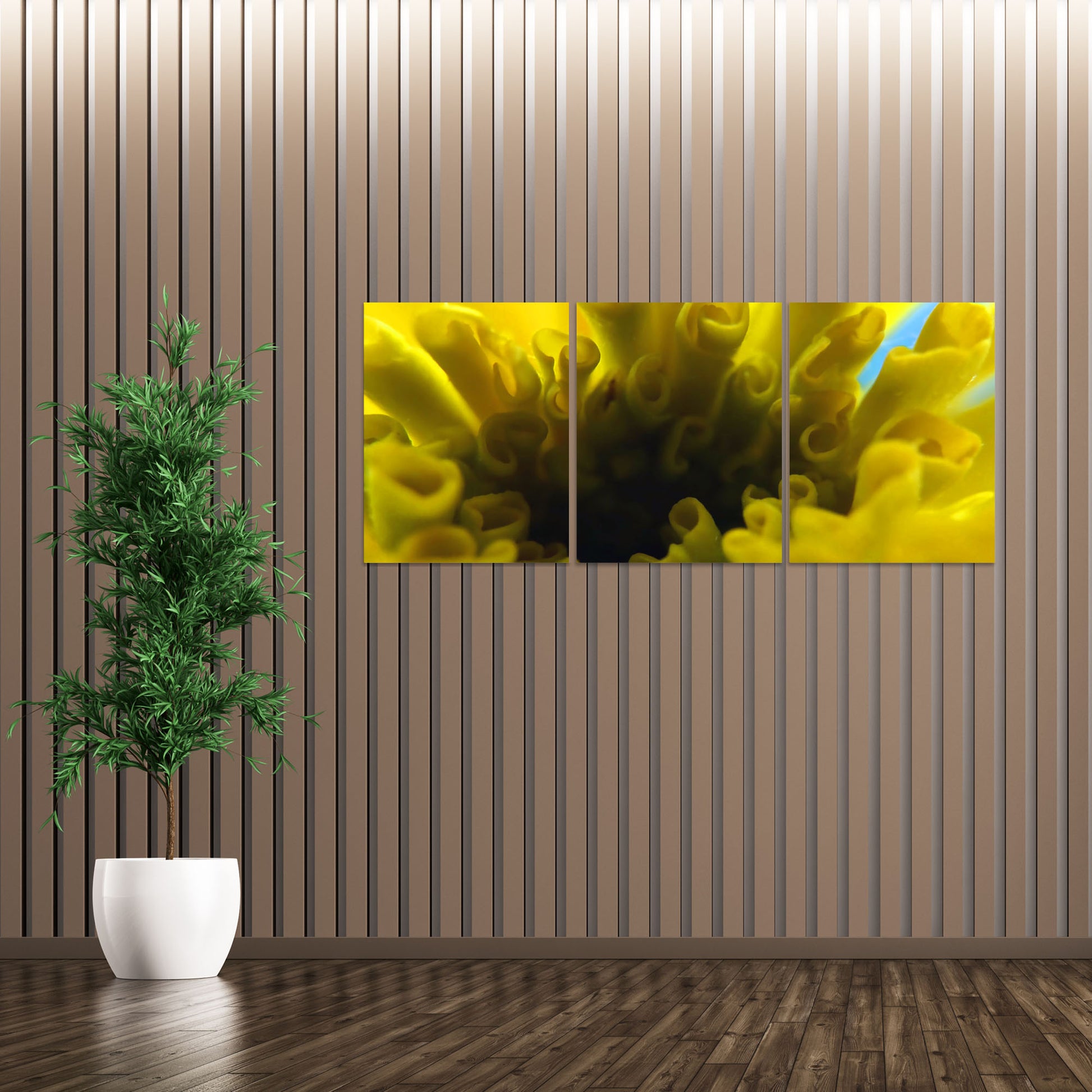 Set 3 canvas photo print of a yellow flower | Opposite Home