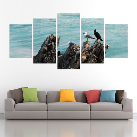 Set of 5 canvas photo print of seagulls | Opposite Home