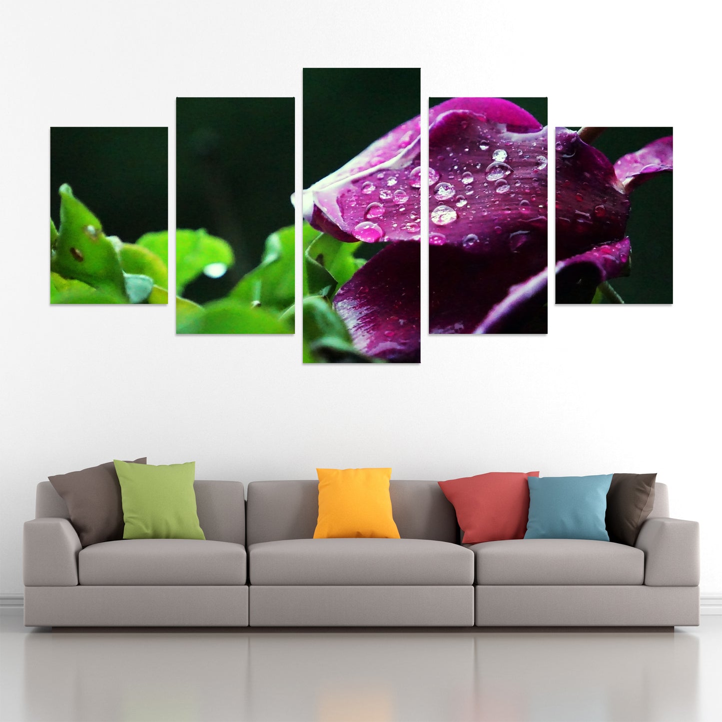 Set of 5 ciclamen photo canvas | Opposite Home