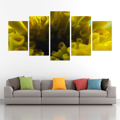 Set of 5 photographic print canvas of a macro yellow flower | Opposite Home