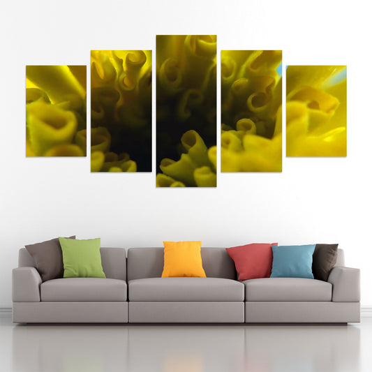 Set of 5 photographic print canvas of a macro yellow flower | Opposite Home