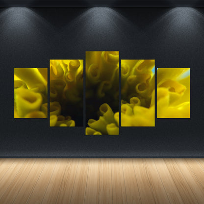 Set of 5 photographic print canvas of a macro yellow flower | Opposite Home