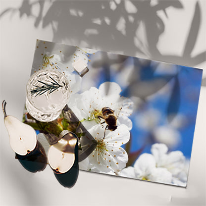 Table Placemat bee photo print | Opposite Home