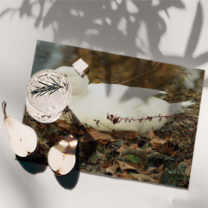 Table Placemat white duck photo print | Opposite Home